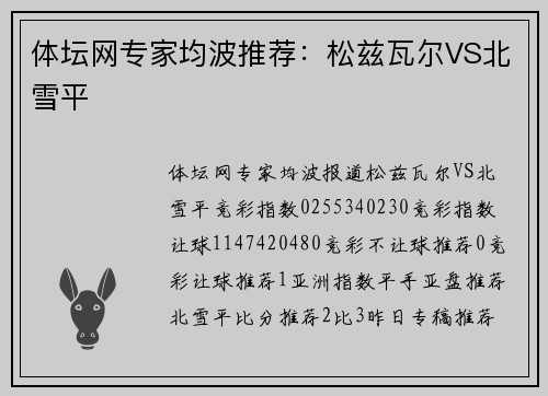 体坛网专家均波推荐：松兹瓦尔VS北雪平